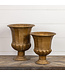 Gold Urns