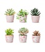 Pink Chinoiserie Cachepot