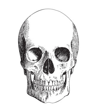 HESTER & COOK Die Cut Skull Placemat