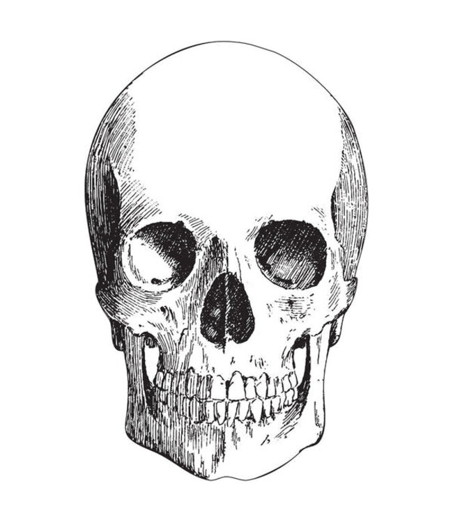 HESTER & COOK Die Cut Skull Placemat