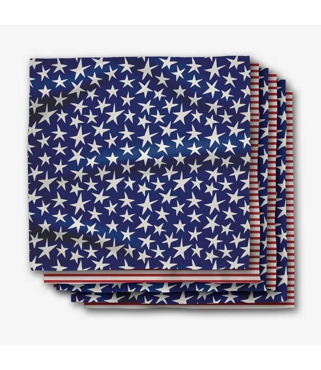 GEOMETRY Dinner Napkin Set