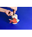 HAPPY EVERYTHING Bubbles The Fish Mini Attachment