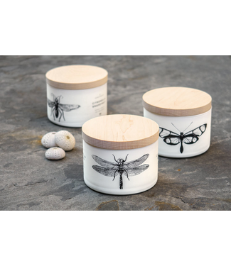 SKEEM DESIGNS Citronella 3-Wick Candle