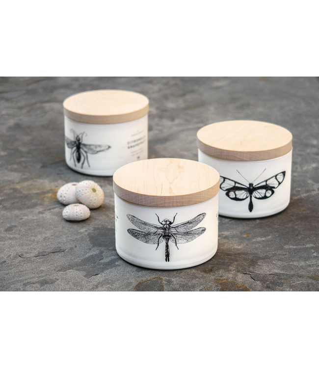 SKEEM DESIGNS Citronella 3-Wick Candle