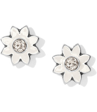 BRIGHTON Jasmine Mini Post Earrings