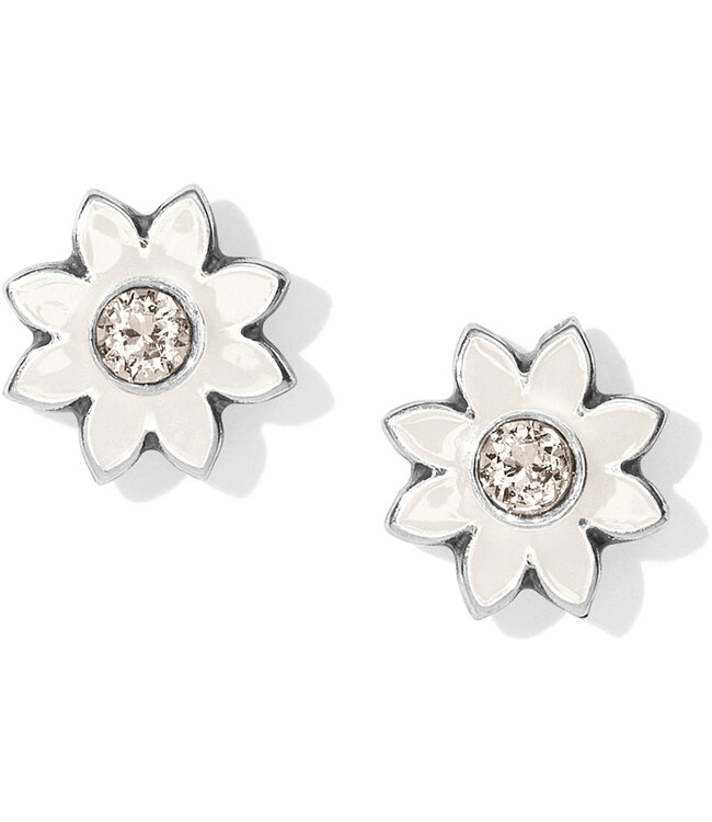 BRIGHTON Jasmine Mini Post Earrings