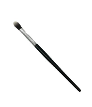 Eye Brush