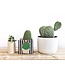 HAPPY EVERYTHING Black Stripe Mini Nesting Cube Medium