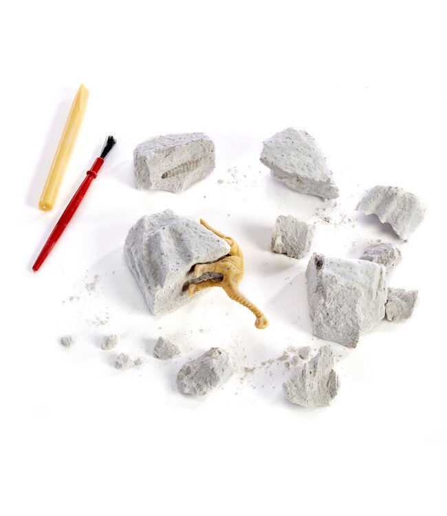 Dig Out Faux Fossil Dinosaur