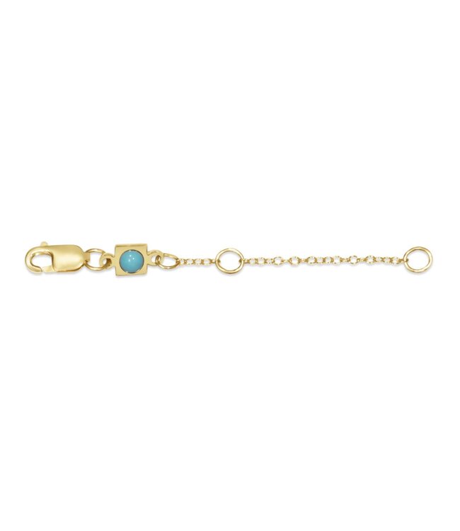 ENEWTON 2" Necklace Extender - Gold