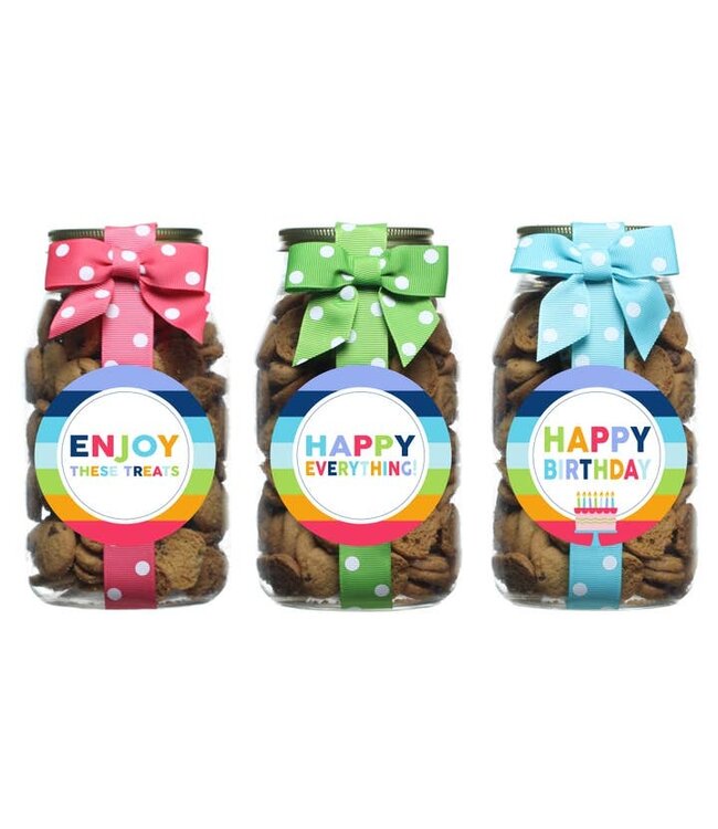 Chocolate Chip Cookies Rainbow Stripe Quart Jars