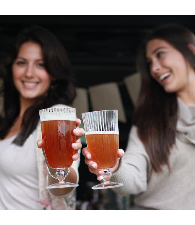 VIDA Venice Tumbler Acrylic Clear