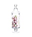D4" Apothecary Jar