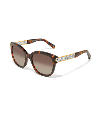 BRIGHTON Intrigue Tortoise Sunglasses
