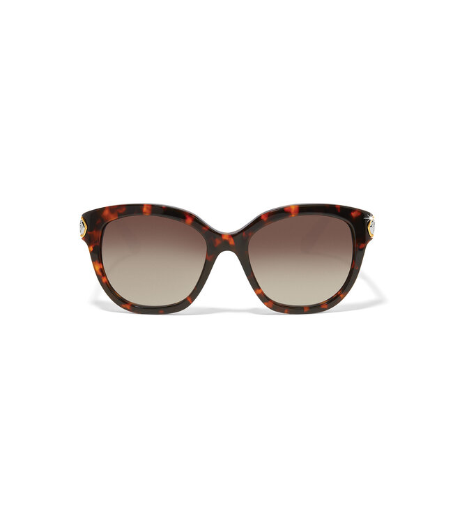 BRIGHTON Intrigue Tortoise Sunglasses
