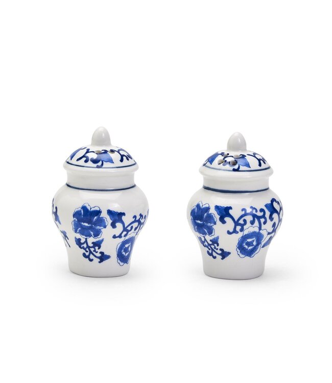 Mini Ginger Jar Salt and Pepper Shaker