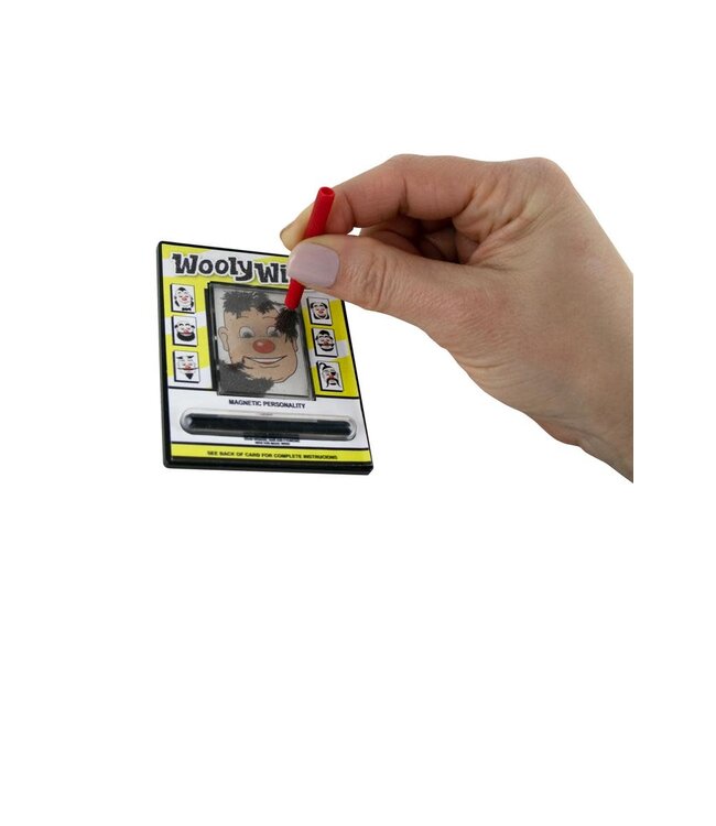 World's Smallest Wooly Willy