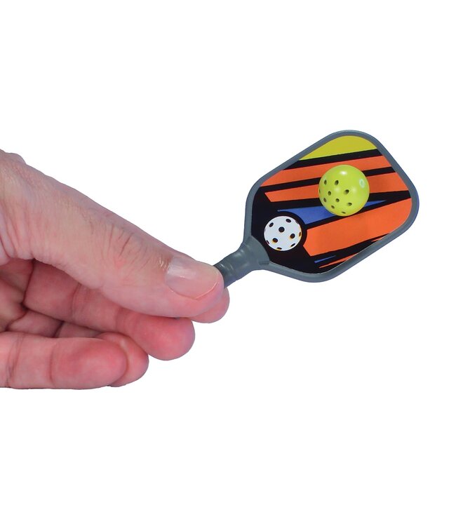 World's Smallest Pickleball