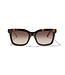 BRIGHTON Ferrara Two Tone Sunglasses - Tortoise