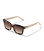 BRIGHTON Ferrara Two Tone Sunglasses - Tortoise