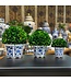 Boxwood Ball Topiary in Hexagon Blue & White Ceramic Pot