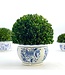 Boxwood Ball Topiary in Round Bulb Blue & White Ceramic Pot