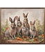 Five Bunnies in Carrot Field