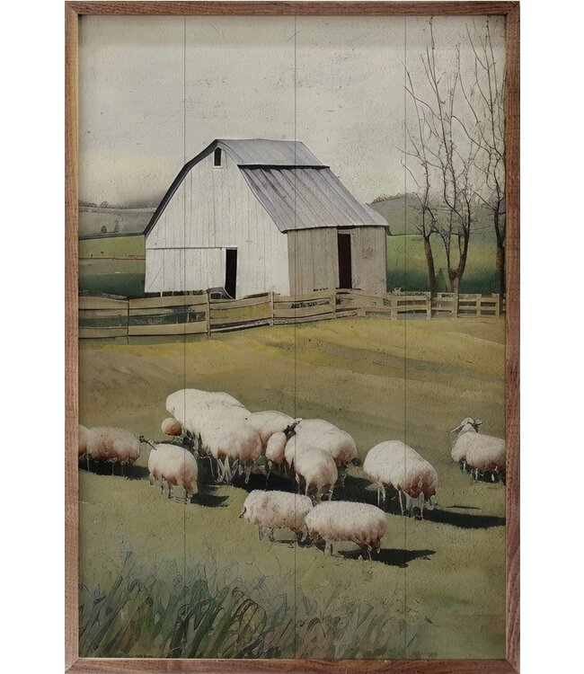 Sheep in Front of Barn