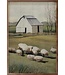 Sheep in Front of Barn