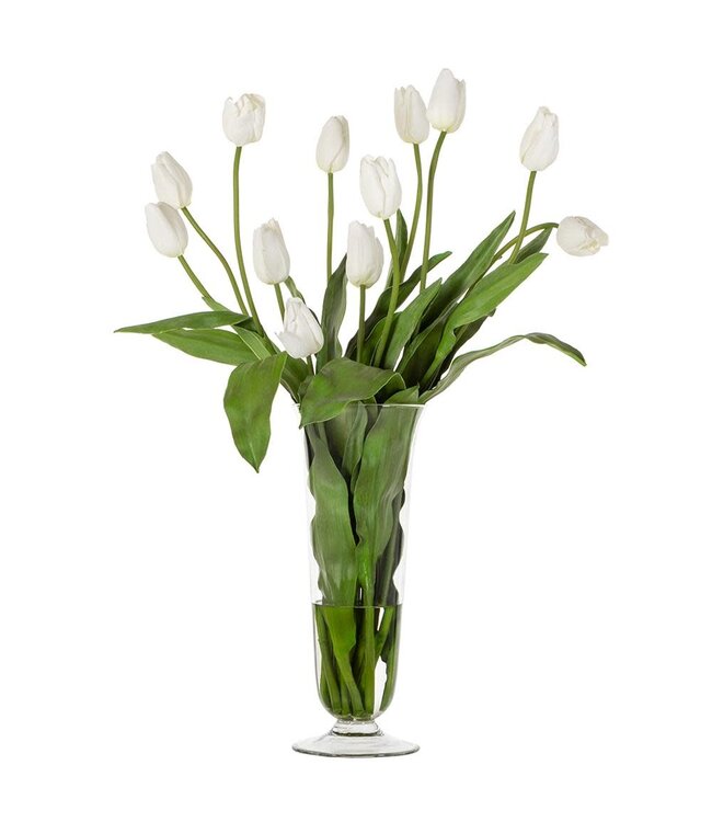Tall French Tulip In Footed Glass White Green