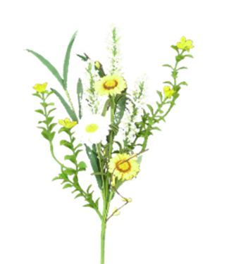 Daisy Cattail Pick