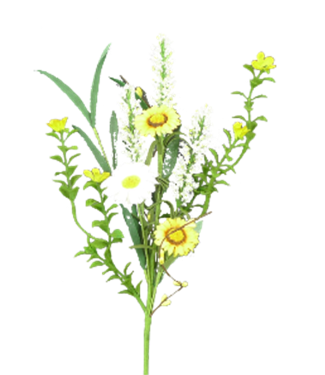 Daisy Cattail Pick