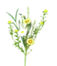 Daisy Cattail Pick