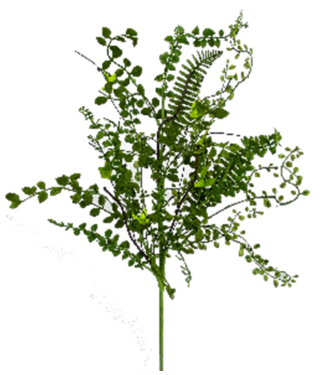 Mix Lvs Fern Spray