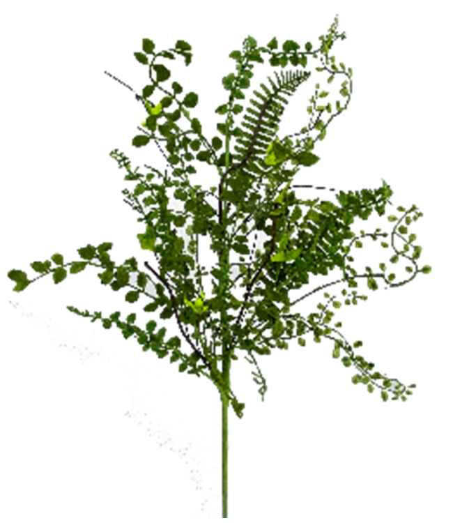 Mix Lvs Fern Spray