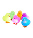 Light-Up Chick Toys