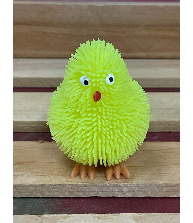 Light-Up Chick Toys