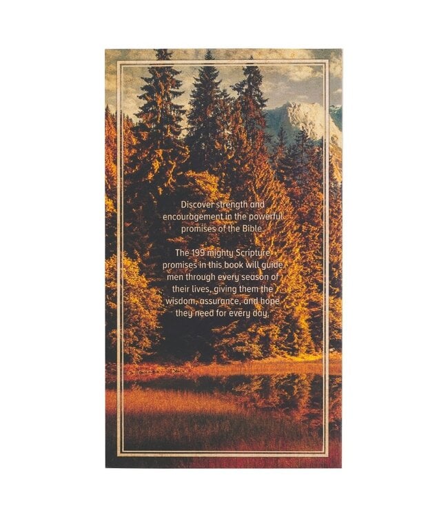 199 Favorite Bible Verses For Men Softcover