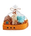 Light-Up Noahs Ark Bath Toy Set