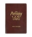 Devotional Pursuing God Lp Faux Leather