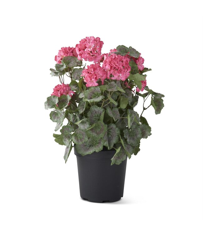 24 Inch Potted Geranium with Faux Dirt