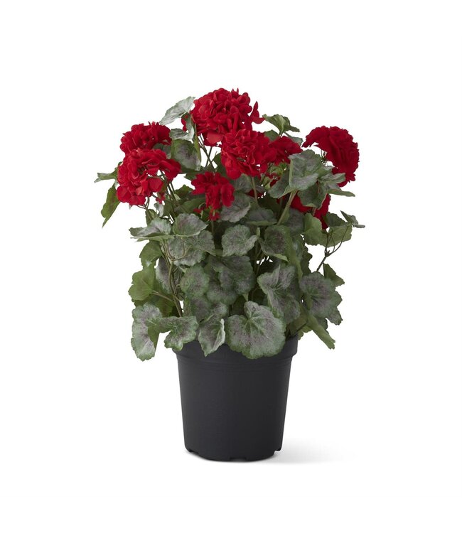 24 Inch Potted Geranium with Faux Dirt