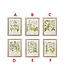 23 Inch Wood Framed Botanical Prints