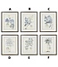 23.75 Inch Black & Gold Framed Blue Arbor Print