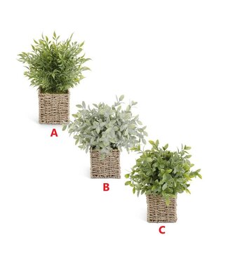 13 Inch Herbs in Square Woven Basket