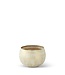 Gold Metal Whitewashed Bowl