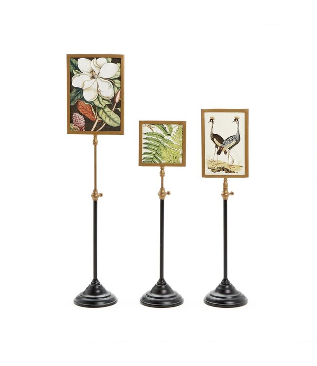 Double Sided Photo Frames on Telescoping Pole