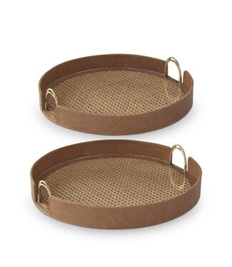 Tan Leather & Cane Tray with Stirrup Handles