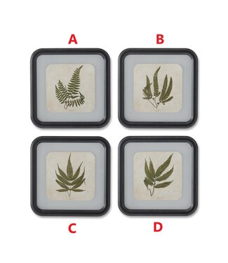 11.75 Inch Square Black Wood Rounded Framed Fern Print