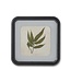 11.75 Inch Square Black Wood Rounded Framed Fern Print